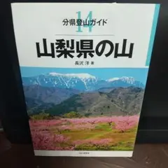 山梨県の山