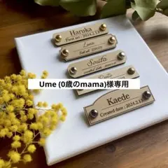 【文字変更】Ume (0歳のmama)様専用ページ