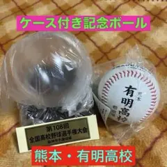 甲子園記念グッズ 智辯学園 - メルカリ