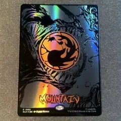 2026年最新】レイズド foilの人気アイテム - メルカリ