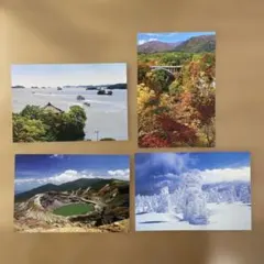 Item thumbnail for item 82b48197-14cb-46a5-acb9-faa55a90c78e