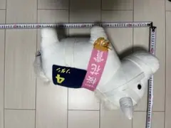 サラブレッドコレクションBIG