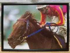 競馬 テイエムオペラオー × 和田竜二 パネル 史上唯一 - メルカリ