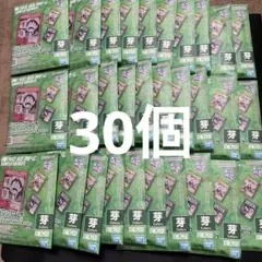 ベースショップ アクリルブロックチャーム 賞 芽Colors 30個 未開封品