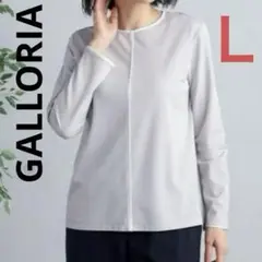 未使用❗️★GALLORIA tシャツ 配色クループルオーバー ライトグレー Ｌ