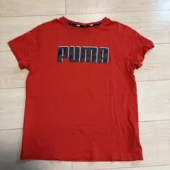 PUMA Tシャツ 150