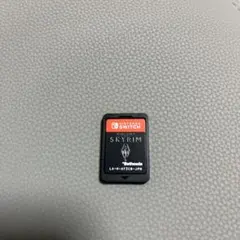 SKYRIM Nintendo Switch ゲームカード