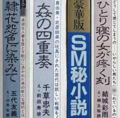 絶版】秘小説 H6年3月 千草忠夫 結城彩雨 前田寿按 楡畑雄二 椋陽児