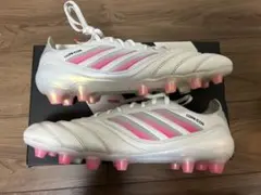 Item thumbnail for item 51bcc3b7-2b20-42d5-ab87-904ebe79841c