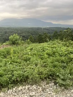 Item thumbnail for item bb4fb5dc-5792-4164-860e-338d76717d87