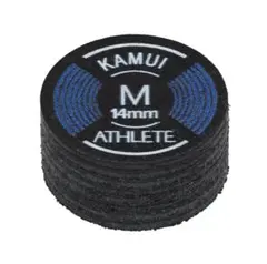 Item thumbnail for item 9cfc01a3-d8fd-458c-bd91-2741ecc6d6e3