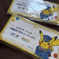 スカイマーク そらとぶピカチュウプロジェクト ノベルティ 2個セットのサムネイル