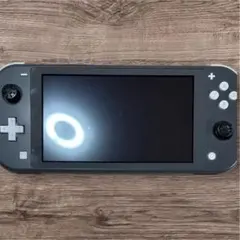 Nintendo Switch Lite グレー 本体　 ‼️ジャンク品‼️
