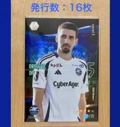 ドレシェヴィッチ FC町田ゼルビア Jリーグファンタジーカード JFC