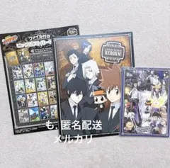 家庭教師ヒットマンREBORN!　2L　ビッグポストカードセット　ファイル付き