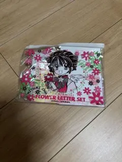 2026年最新】種村有菜 付録の人気アイテム - メルカリ