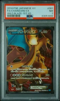 ポケカ リザードンEX SR XY2 ワイルドブレイズ 081/080 1ED ポケモンカードゲーム XY 081/080 リザードンEX (SR) ワイルド