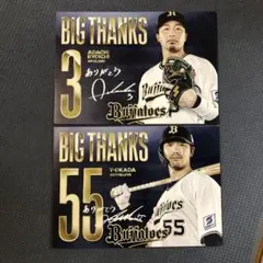 Item thumbnail for item d78649ab-b181-4c22-83e4-c6c311f296fb