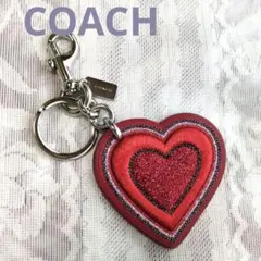 COACH レザー キーホルダー 星座 Taurus 牡牛座 ピンク パープル