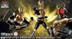 本体良個体！】フィギュアーツ真骨彫製法 仮面ライダーアギト25th版