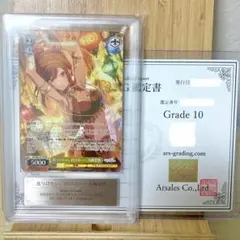 PSA10 姫島朱乃 OSICA DxD HERO #033 - メルカリ