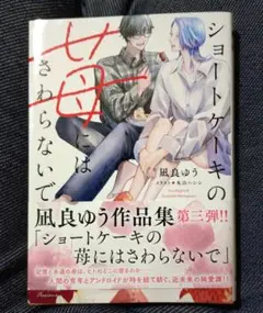 ショートケーキの苺にはさわらないで　小説　BL　凪良ゆう