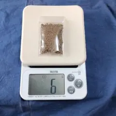 Item thumbnail for item 9ef61177-b3a5-49ac-955c-7d36ef4aab31