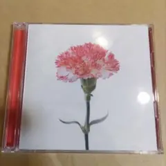 母へ (特別盤)　半崎美子 ＣＤ ＋ ＤＶＤ