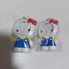 サンリオキャラクターズ フォトフレームマスコット　ハローキティ 2個