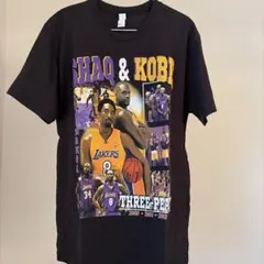 Item thumbnail for item 23f53b2e-dd9d-4f42-a77d-d411238ce34f