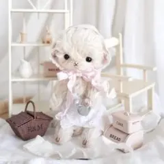 美品】作家hacodeco様 ハンドメイド 白ねこちゃん - メルカリ