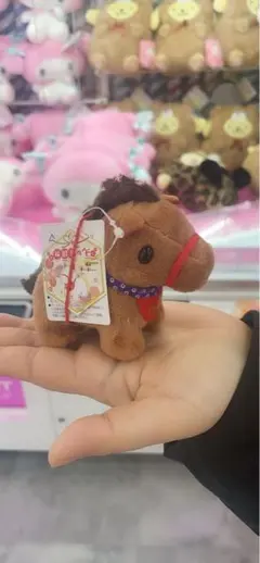 いるか様 専用ページ