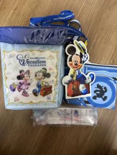 ディズニーリゾート　バケーション限定グッズ
