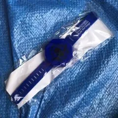 Item thumbnail for item 814090ab-a7e9-455e-b640-5442c6278f1e