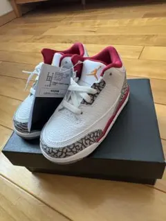 Jordan 3 Retro (TD) 8C 新品未使用