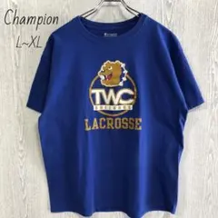 Champion　チャンピオン　刺繍　半袖Tシャツ　カレッジ　XL 古着　90s