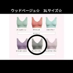 2025年最新】ジニエインテグレートブラの人気アイテム - メルカリ