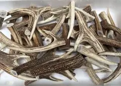 エゾ鹿 鹿茸・袋角 (6本 約1480g) - メルカリ