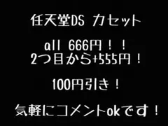 任天堂DS カセット