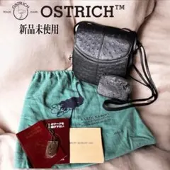 新品未使用✨クラインカルーオーストリッチショルダーバッグ黒ミニポーチ付本革JRA