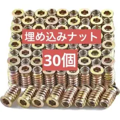 30個埋め込みナット ねじ込みタイプ パーツ 接合 金具 家具 木工