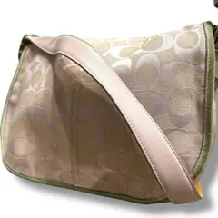 Item thumbnail for item 9553ad75-91ef-4d42-b978-8db285b3588b