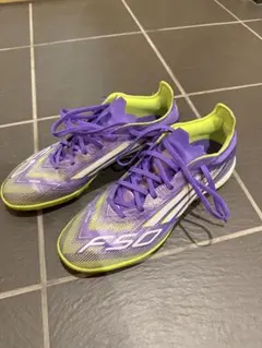 Item thumbnail for item 8fea0c3e-e3d1-4926-bebf-499f106041dd