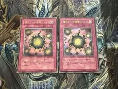 遊戯王 魔のデッキ破壊ウイルス FET-JP058 レリーフ 2枚セット