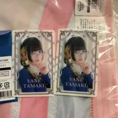 2026年最新】きゅるりんってしてみて 環やねの人気アイテム - メルカリ