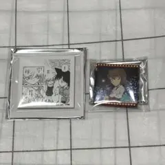 名探偵コナン　灰原哀　キャンバスマグネット　メモリアル缶バッジ　スペシャル