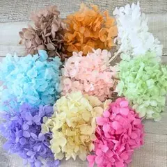 2026年最新】あじさいの人気アイテム - メルカリ