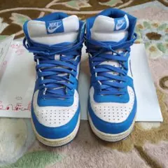 NIKE TERMINATOR HIGH BASIC 28cm