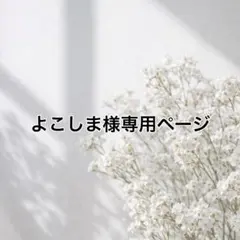 よこしま様専用ページ