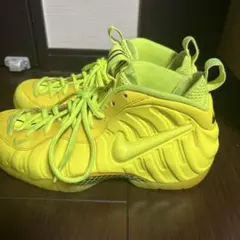 NIKE AIR FOAMPOSITE エアフォームポジット ナイキ　スニーカー